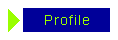 Profiel